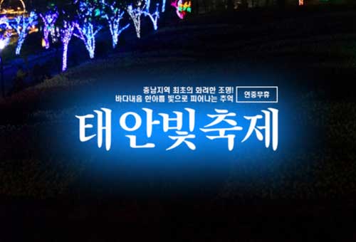 태안 빛축제 이미지