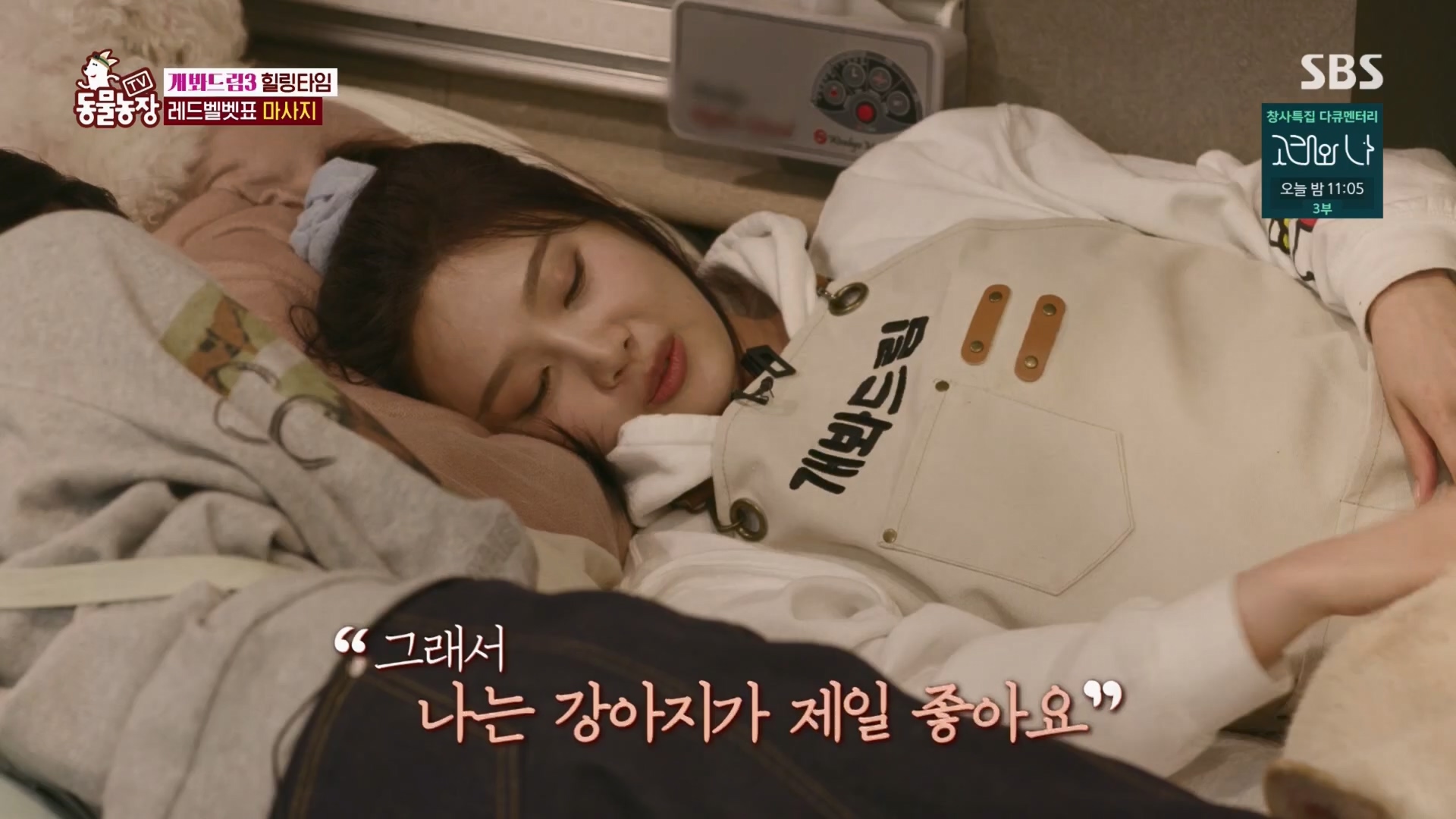TV 동물농장.E1148.231203p.H264-F1RST.mp4_20231203_165840.624.jpg