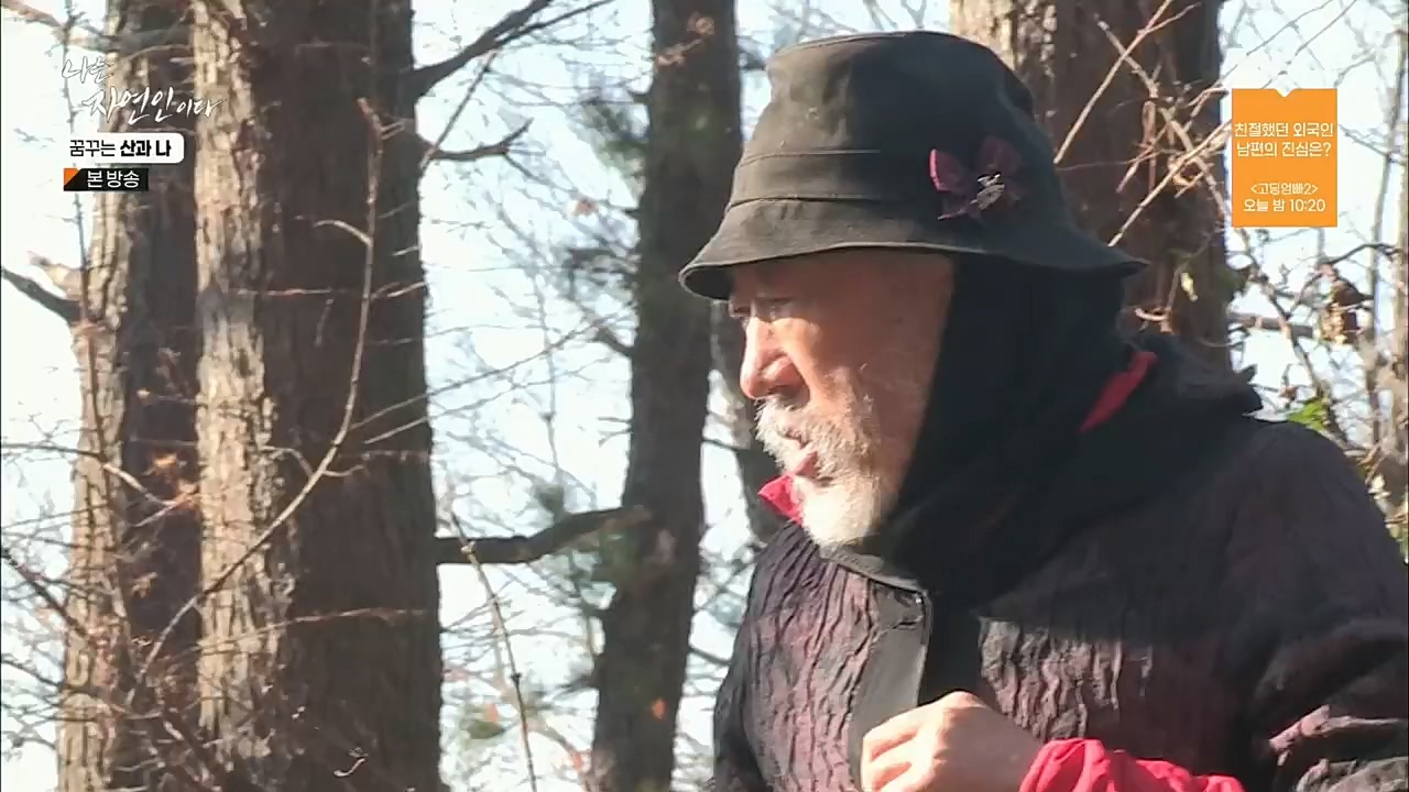 나는 자연인이다.E534.221229p.H264-F1RST.mp4_20221229_200033.175.jpg