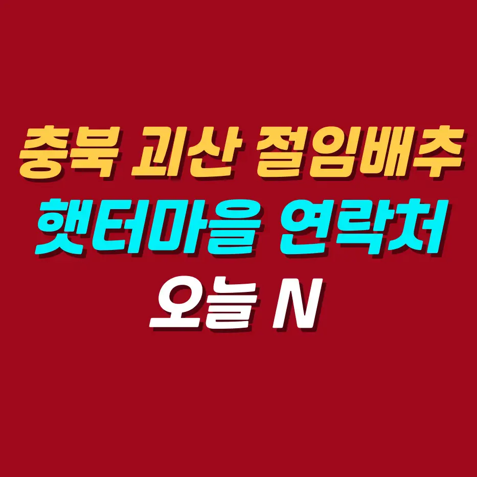 충북 괴산 절임배추 가격 주문 방법 ❘ 햇터마을 전화번호 ❘ 오늘 N 이 맛에 산다