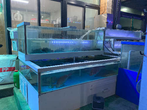 성난파도 4