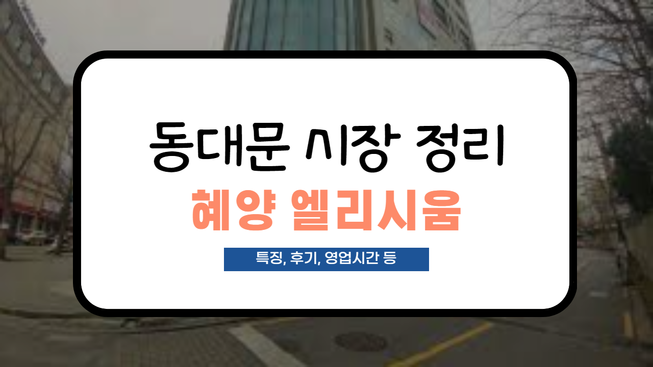  [동대문 시장정리] 혜양엘리시움 사입 후기 및 영업시간 정리(도매팁, 특징 등)