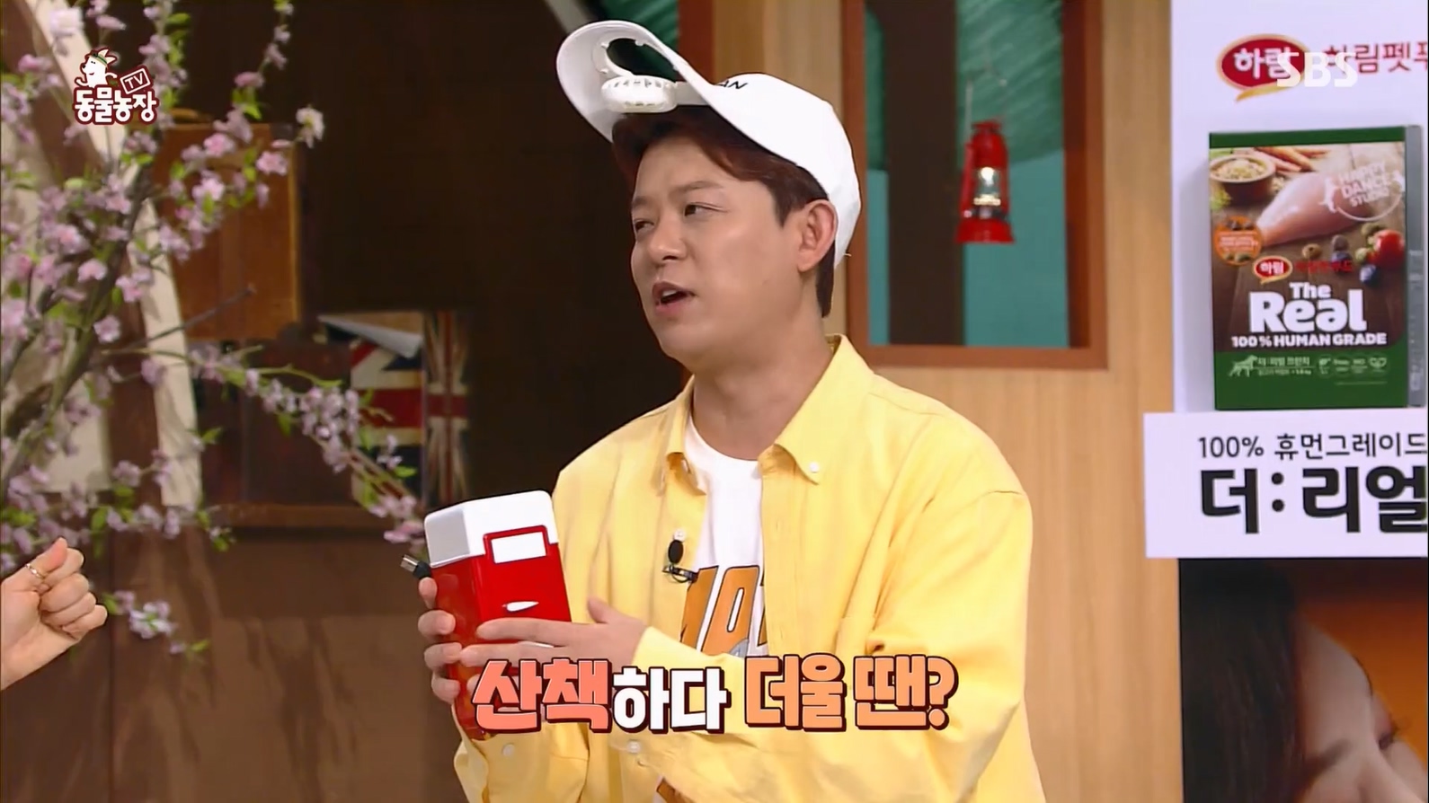 TV 동물농장.E1127.230702p.H264-F1RST.mp4_20230704_212701.240.jpg