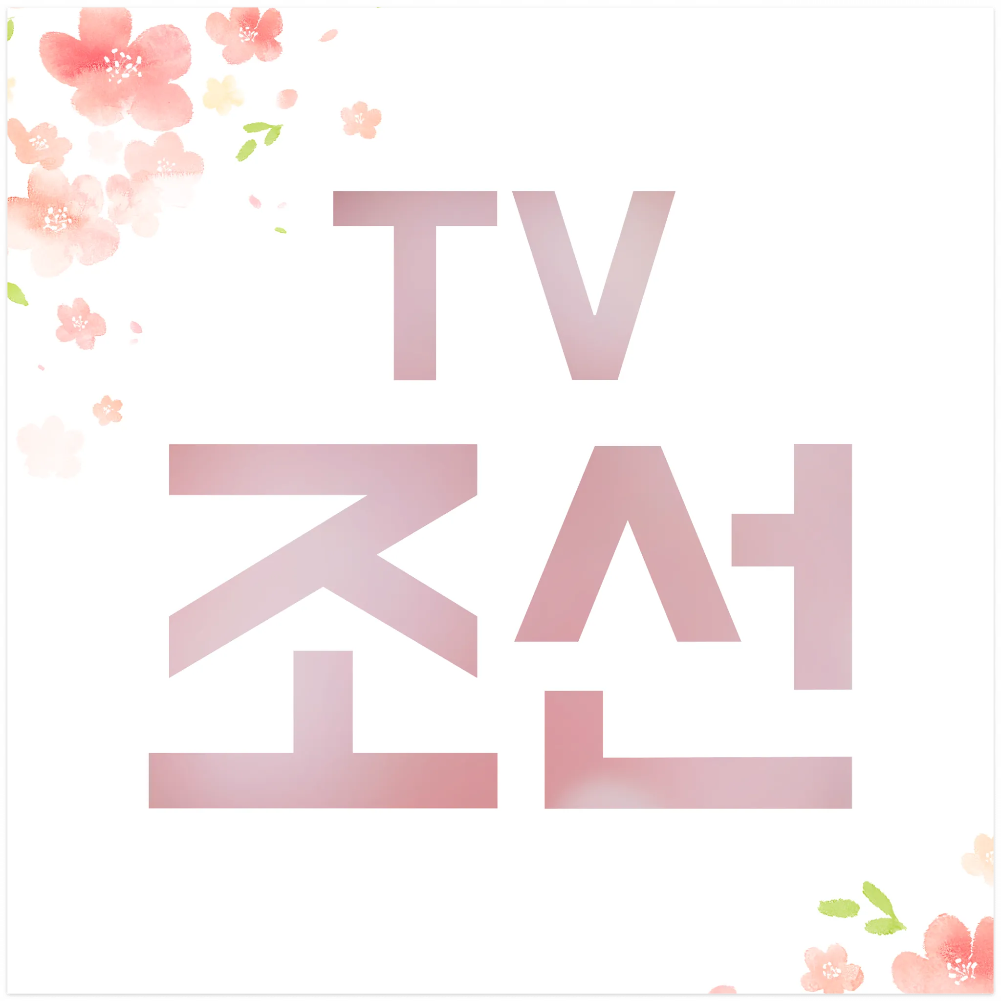 TV 조선