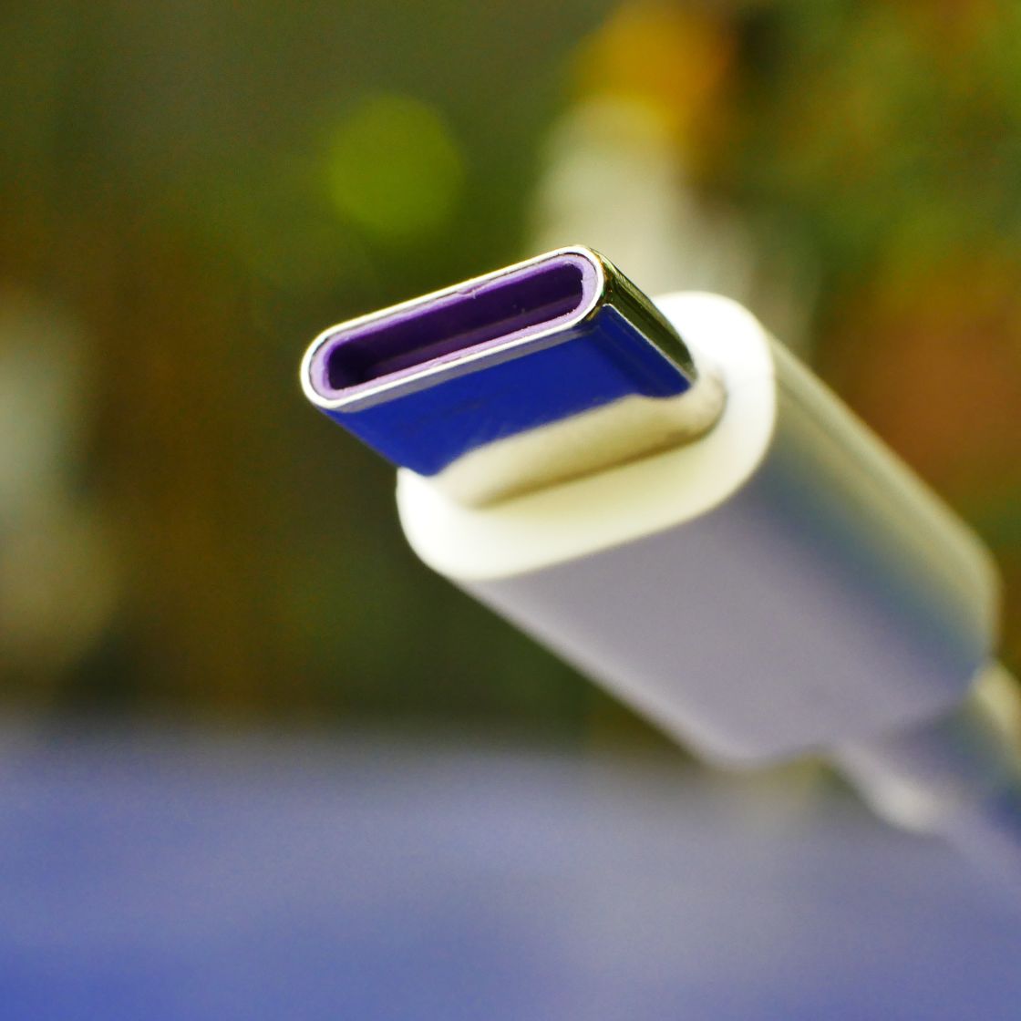 USB-C 충전 단자 의무화