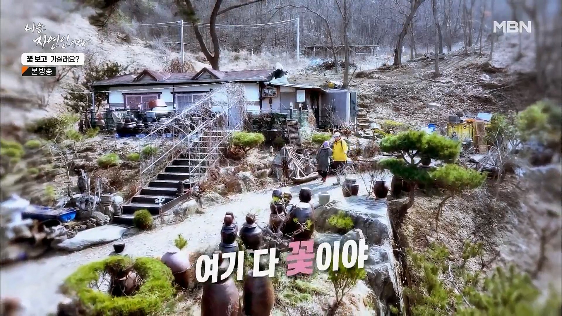 나는 자연인이다.E545.230315p.H264-F1RST.mp4_20230316_212056.979.jpg