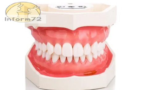 오리고기 효능 칼로리 총정리 - Inform72 오리고기 효능 칼로리 총정리 - Inform72