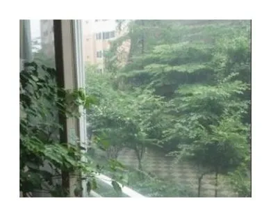 슬픈발라드모음