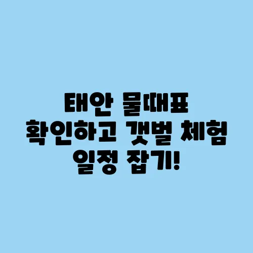 태안 물때표 확인하고 갯벌 체험 일정 잡기!