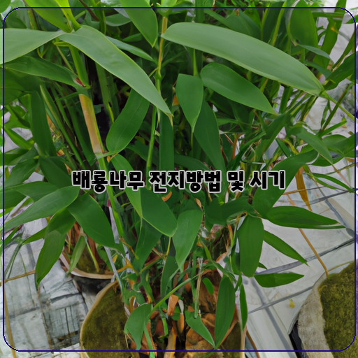 배룡나무-식물-성장-전지-방법