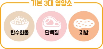  3대 영양소 일일 섭취량