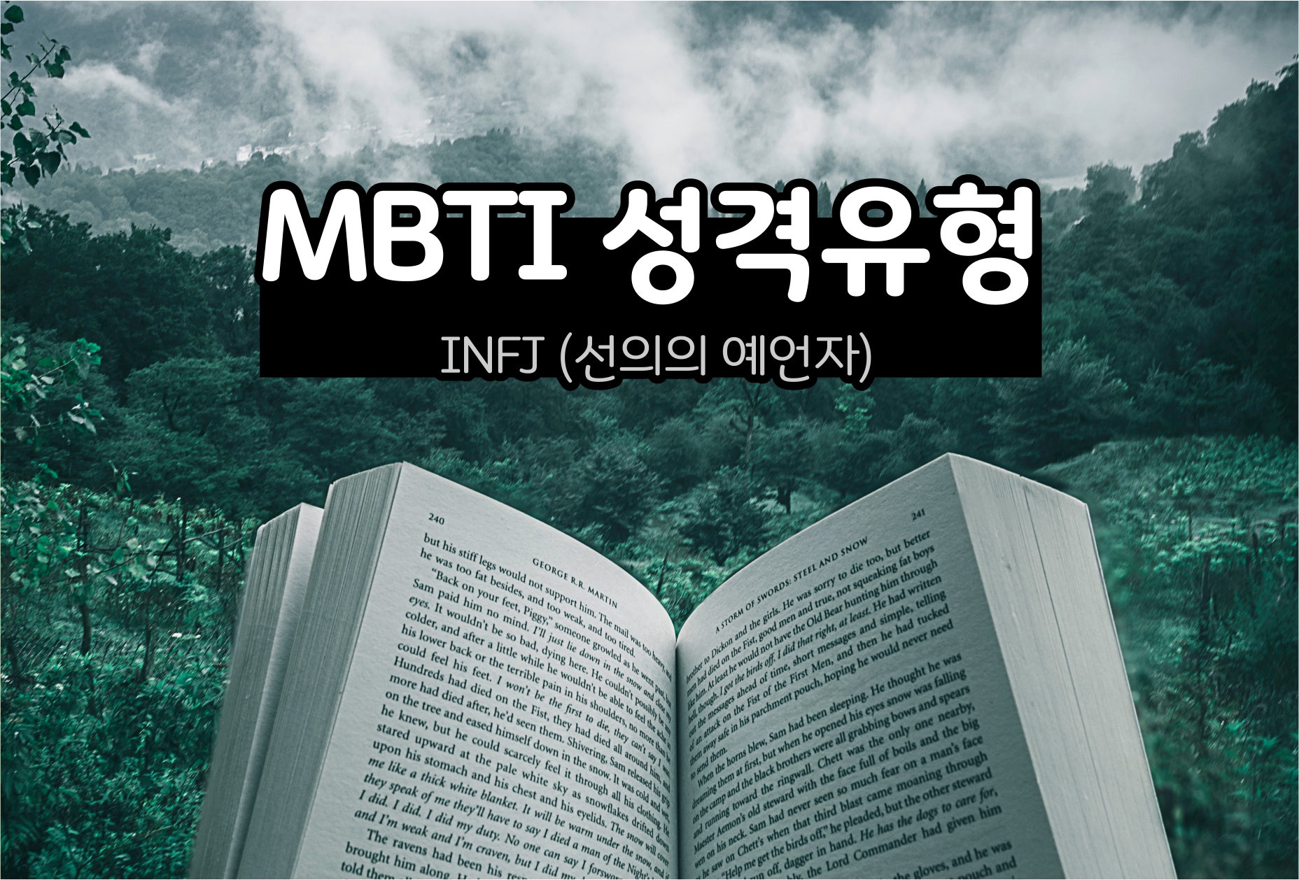  MBTI 성격 - INFJ 유형 (선의의 예언자)