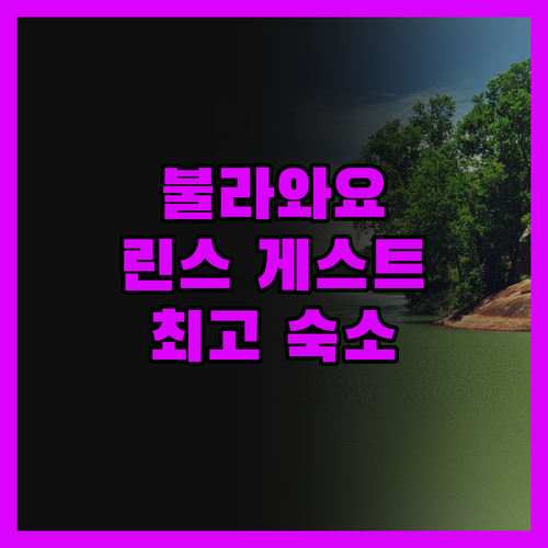 린스 게스트 하우스 불라와요 여행객에