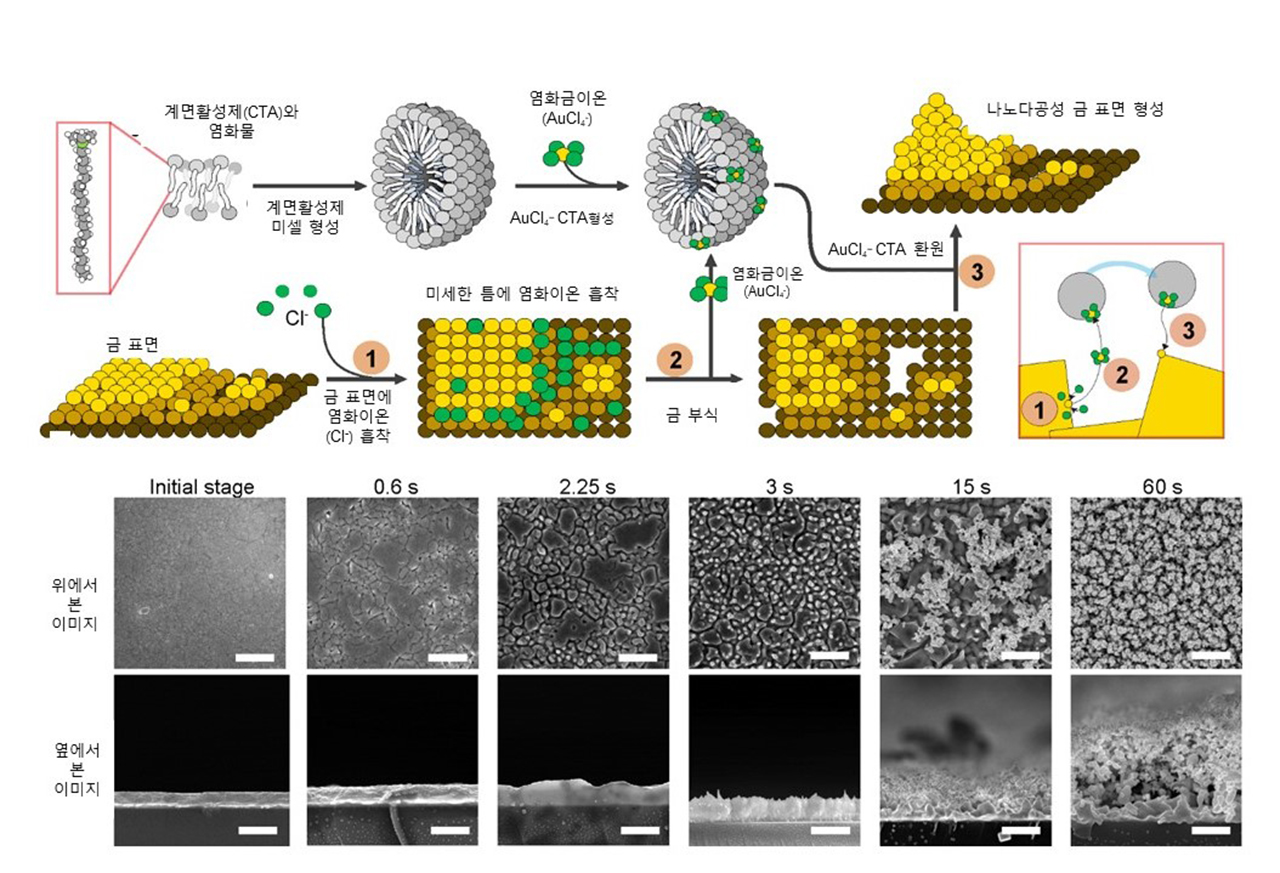 나노구조-및-나노다공성-금-표면을-생성하는-메커니즘