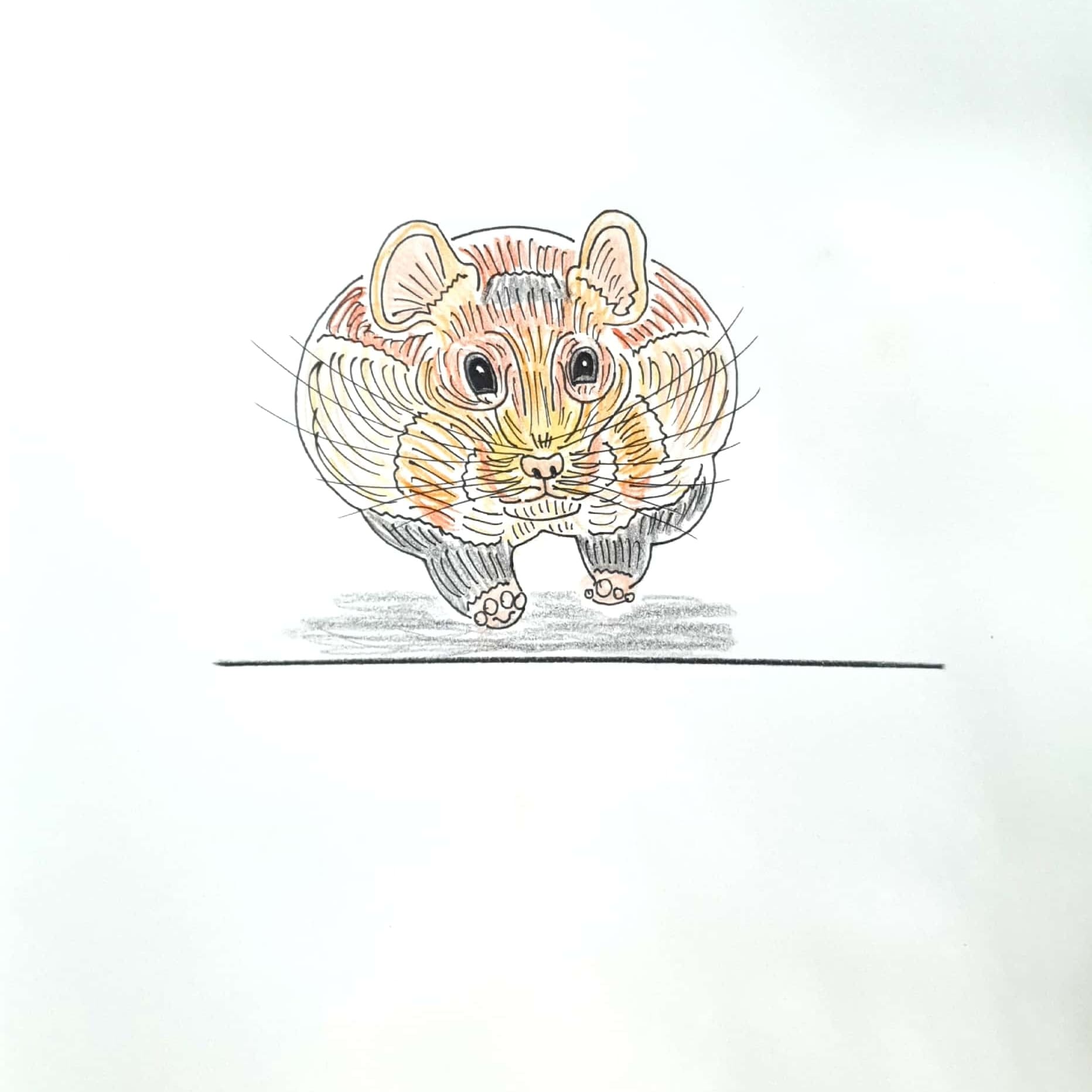  running 달리기 / 일러스트 그림 드로잉 / 동물 그리기