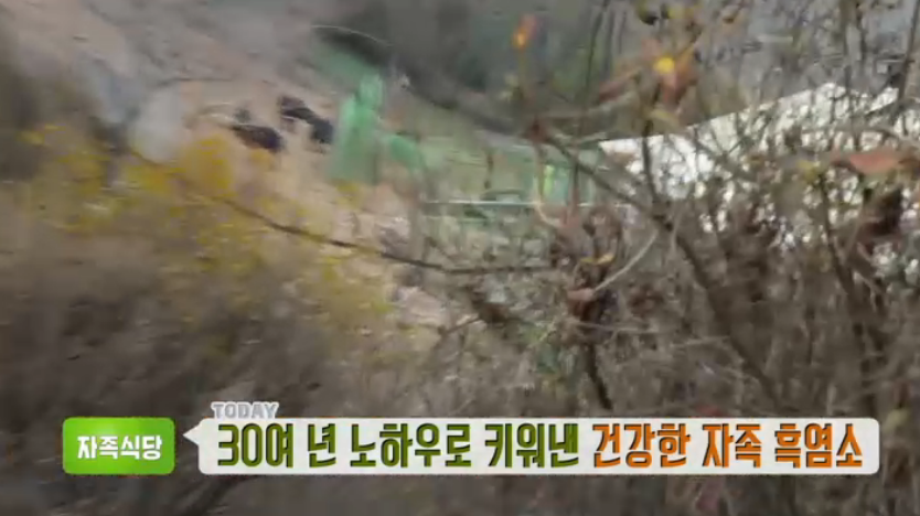 생방송투데이 흑염소생고기곱창 파는곳 5
