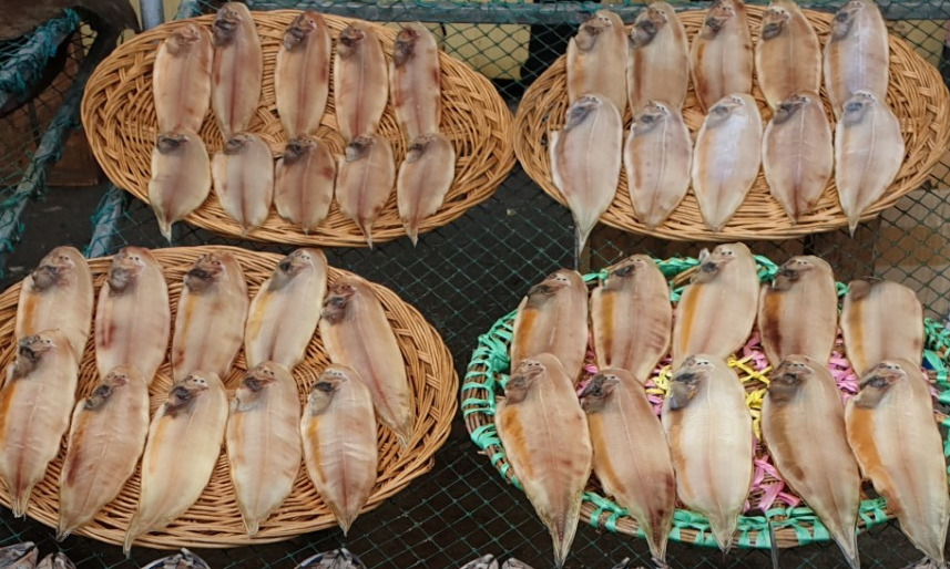 건어물 스타 이미지