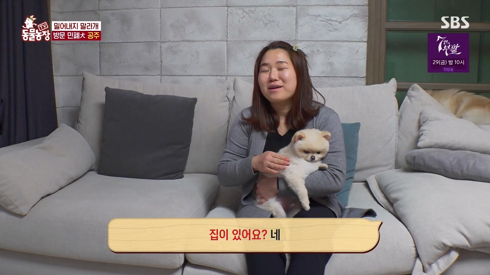 TV 동물농장.E1163.240317p-NEXT.mp4_20240317_171049.198.jpg