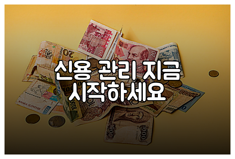 신용 관리 지금 시작하세요