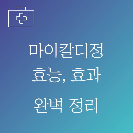 마이칼디정