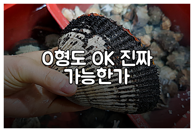 O형도 OK 진짜 가능한가