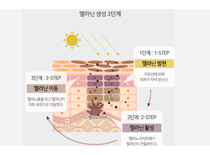 도미나크림설명