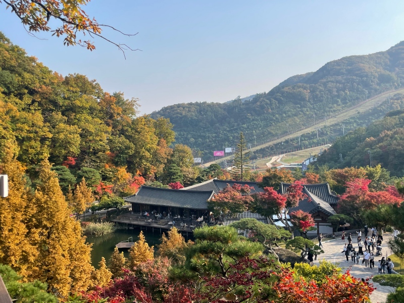 화담숲-단풍-사진