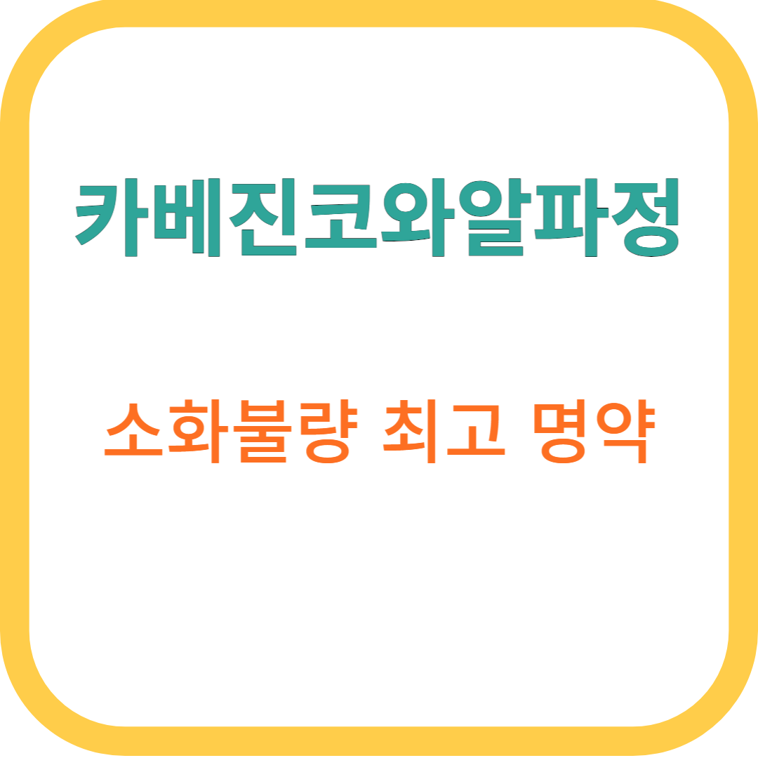 카베진코와알파정