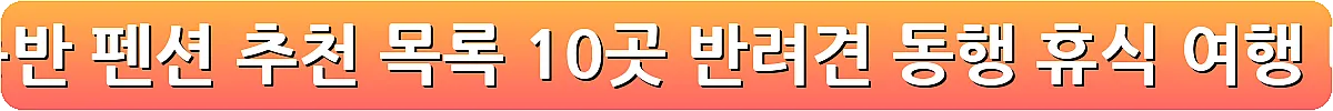 전국 애견동반 펜션 추천 목록 10곳 반려견 동행 휴식 여행_10