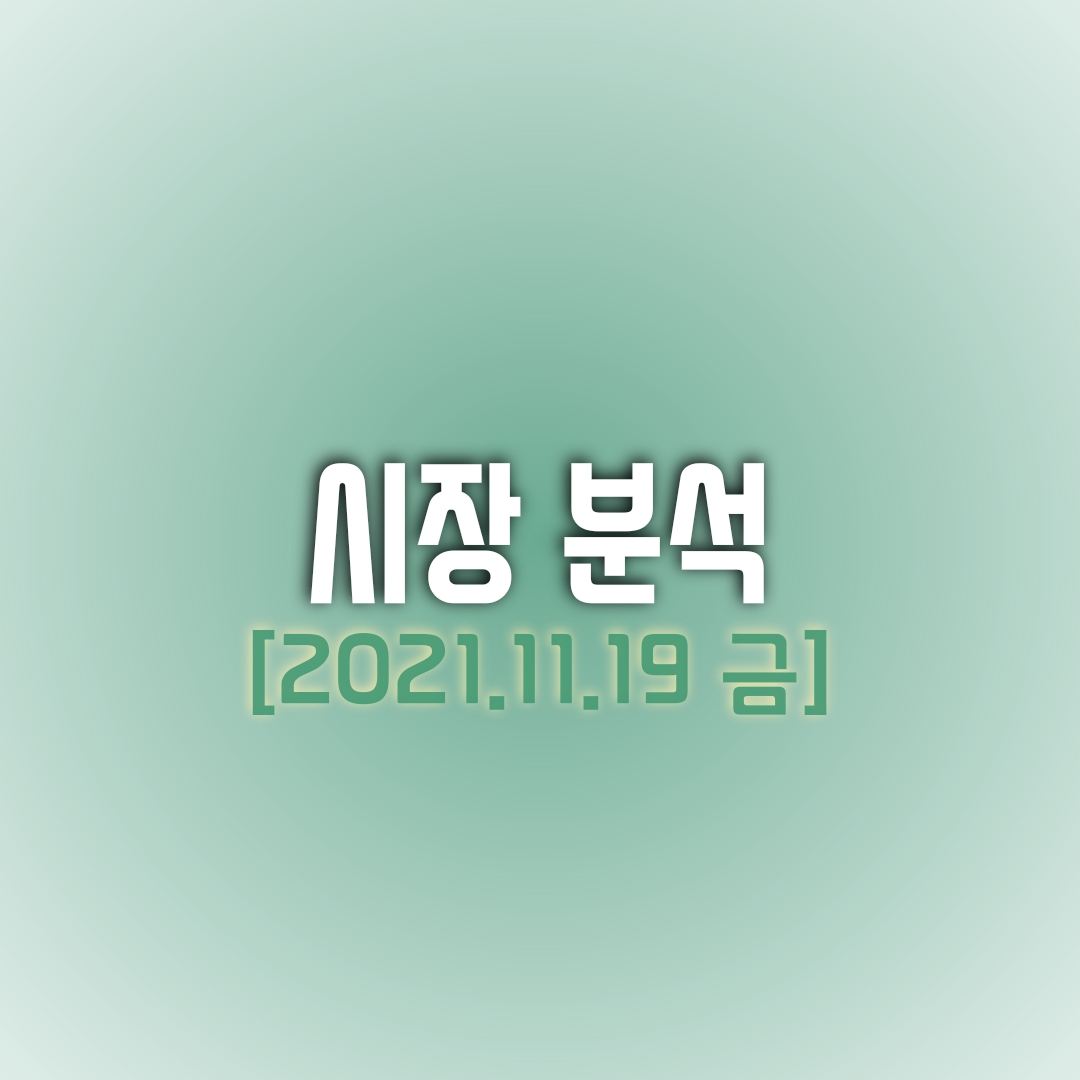  금일(11/19) 주식 시장 분석