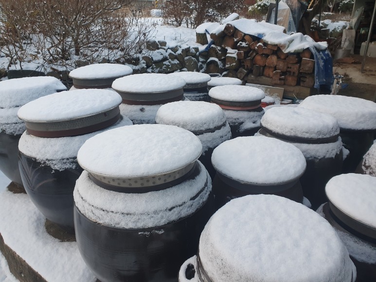 경옥고 만들기 경옥고 효능 경옥고 복용법 경옥고 부작용 4