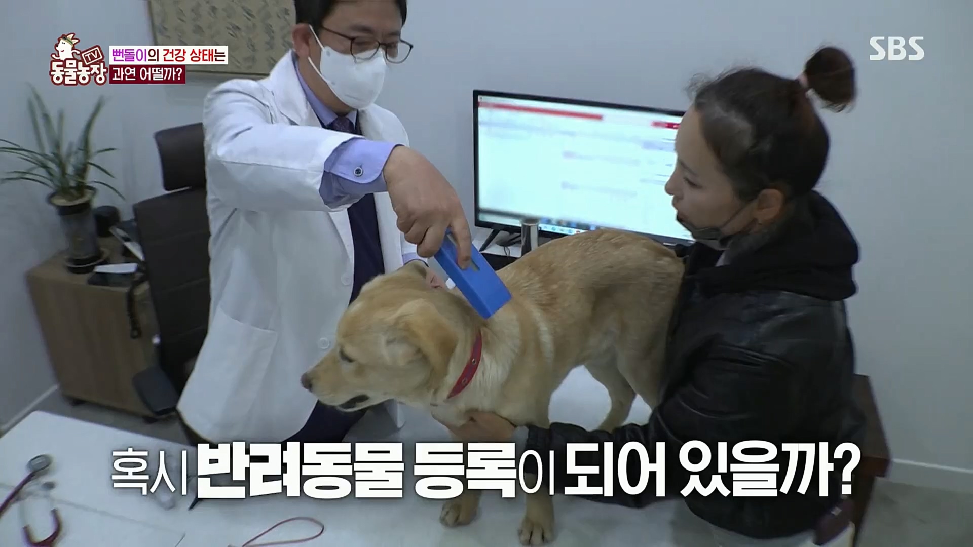 TV 동물농장.E1098.221204p.H264-F1RST.mp4_20221204_175404.649.jpg
