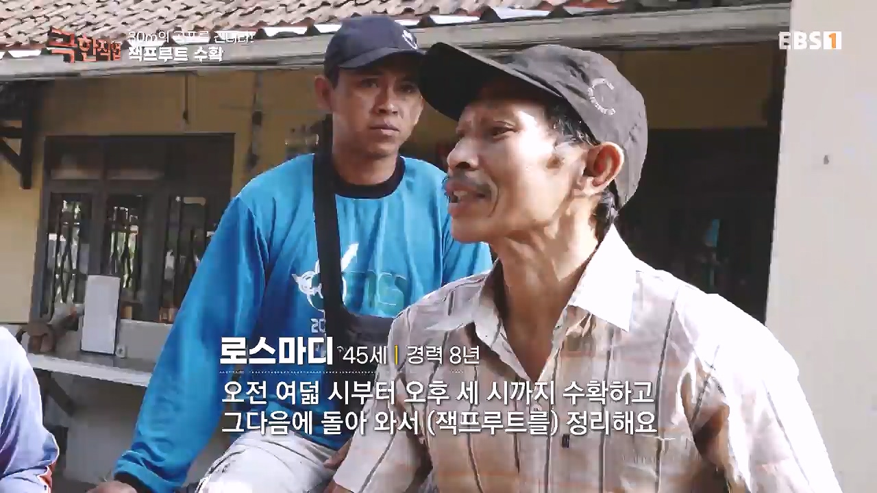 TV - 전 국민의 평생학교 EBS30m의 공포를 견뎌라! 인도네시아 열대과일 수확.mp4_20240103_200546.219.jpg