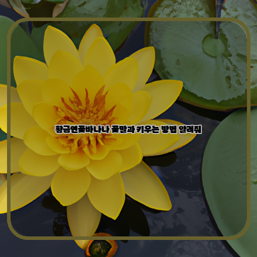 황금연꽃바나나-꽃말-유용한-팁들