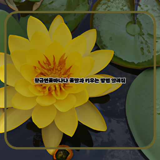  황금연꽃바나나 키우기와 꽃말, 그리고 유용한 팁들