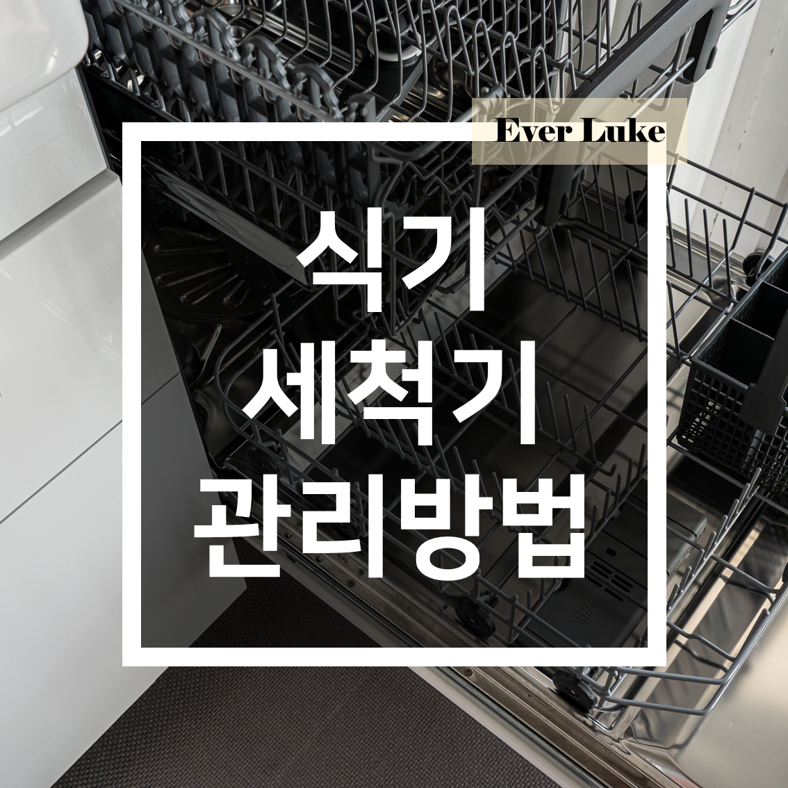 식기세척기-관리방법-팁