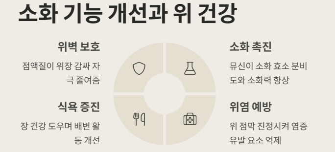 소화 기능 개선과 위 건강