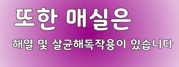  또한 매실은 해열 및 살균해독작용이 있습니다