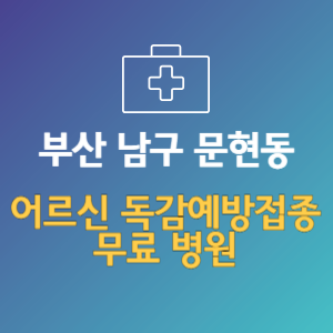 부산 남구 문현동 노인 독감예방접종 무료 병원 (인플루엔자 무료 접종 대상 날짜)