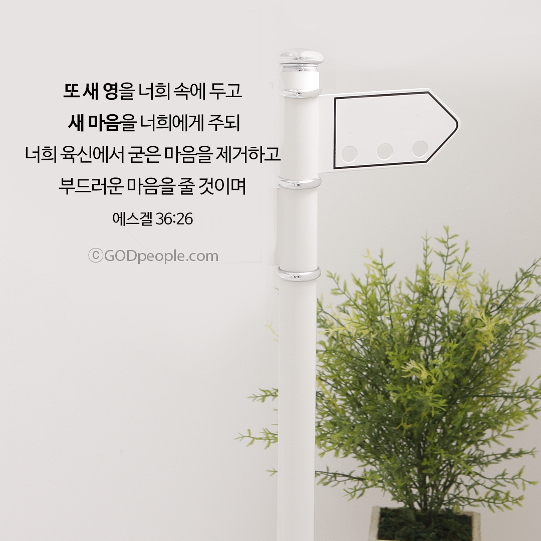  갓피플 성경 말씀 배경화면 힘이 되는 좋은글귀 새해인사이미지