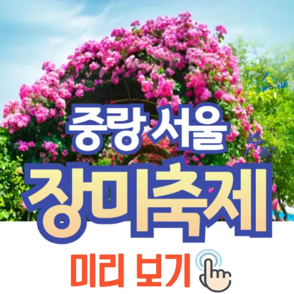 중랑 서울 장미축제