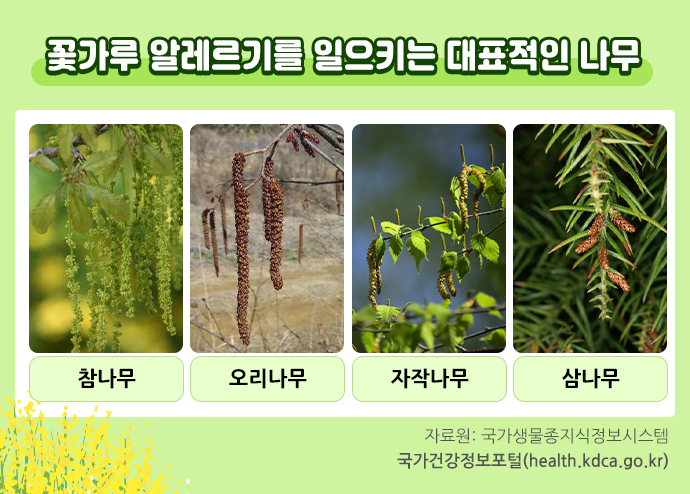  봄의 불청객, 꽃가루 알레르기의 예방과 관리