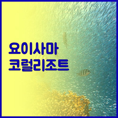 이시가키 숙소 추천, YOISAMA 