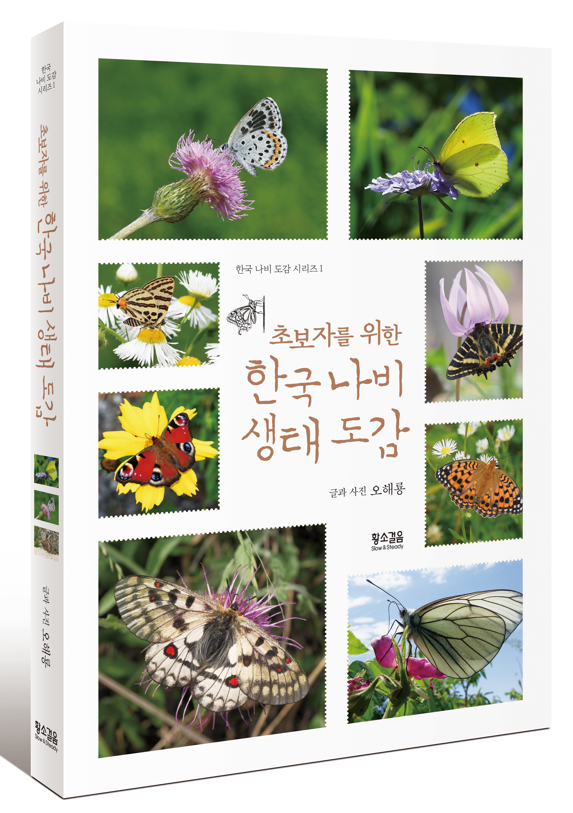 황소와나비 이미지