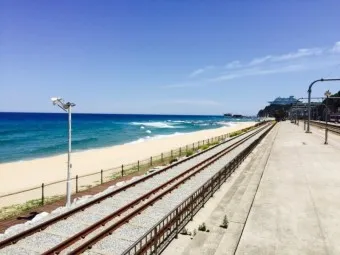 정동진역 ktx 기차시간표 요금표 예매_10