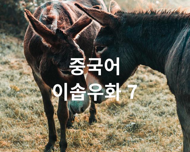  중국어 이솝우화 7
