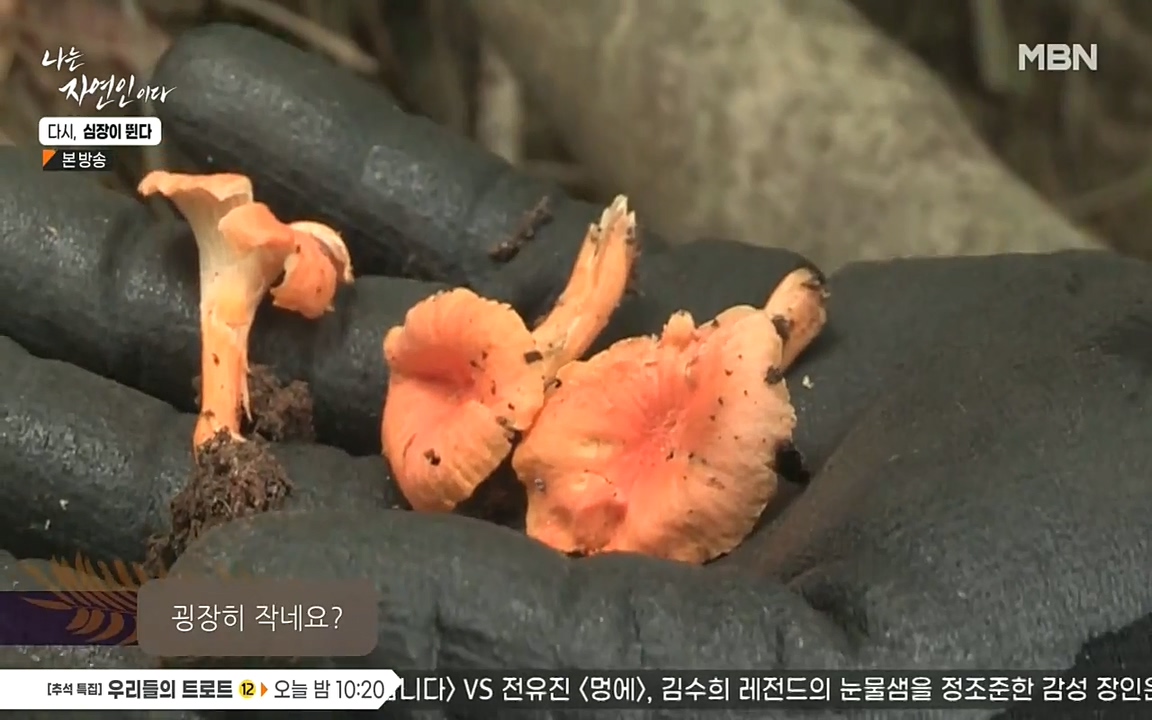 나는 자연인이다.E519.220915p-NEXT.mp4_20220915_194517.148.jpg
