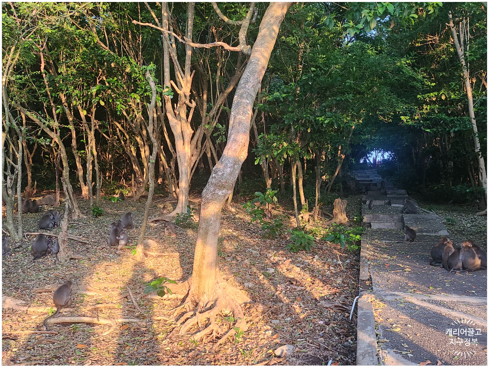 울루와뚜 사원