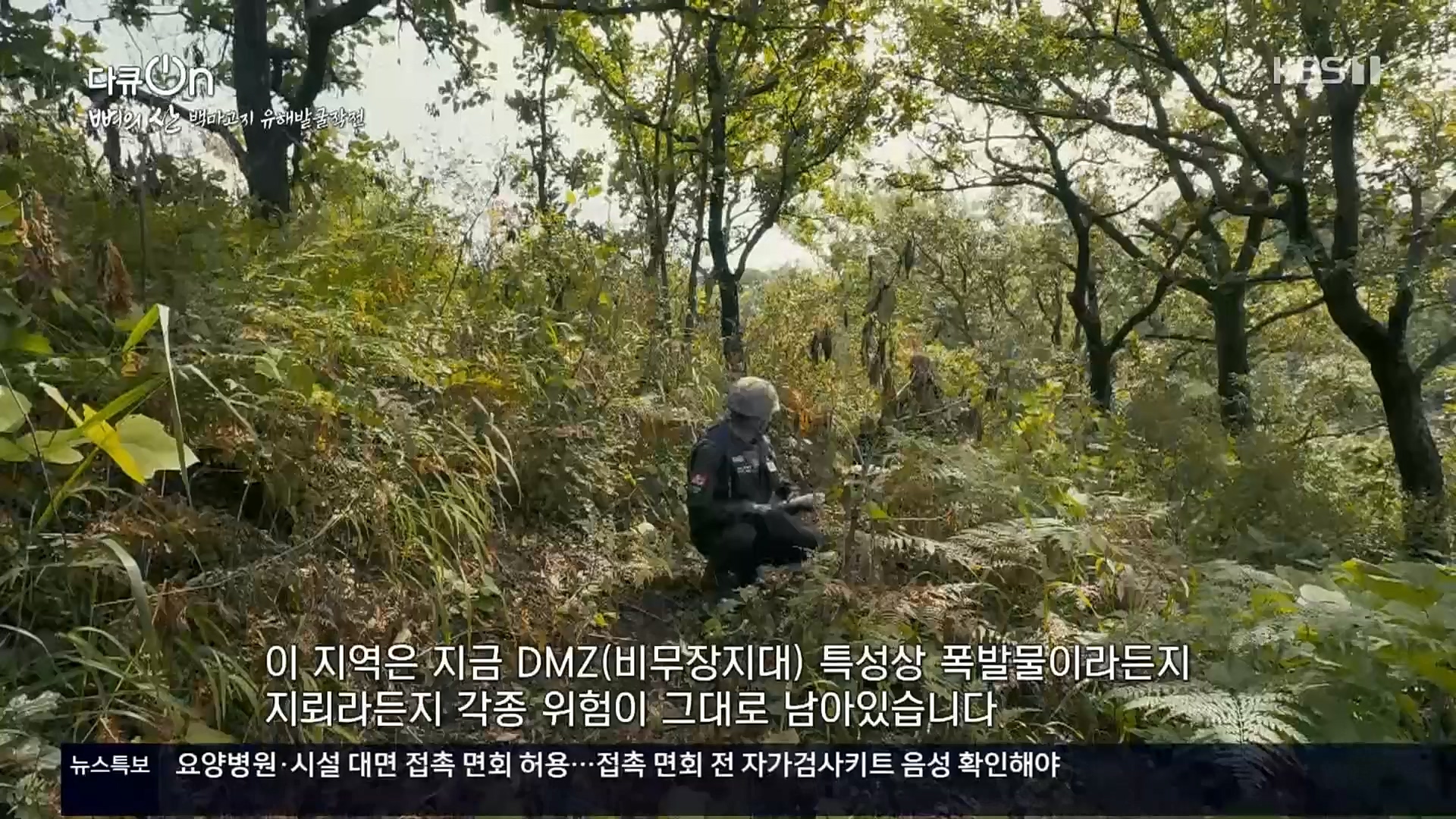 다큐 On.E163.221016p.H264-F1RST.mp4_20221018_185835.997.jpg