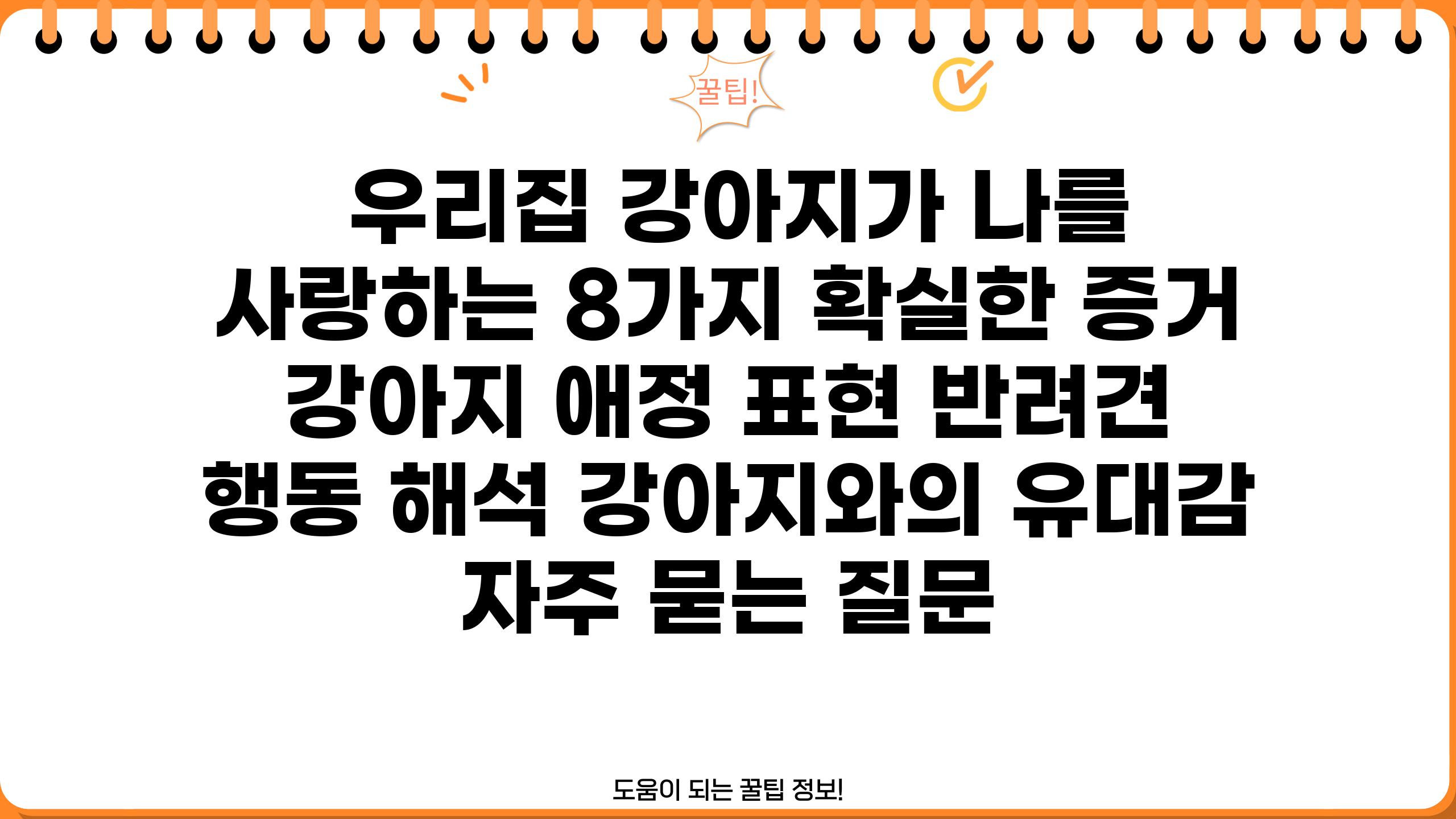  우리집 강아지가 나를 사랑하는 8가지 확실한 증거  강아지 애정 표현 반려견 행동 해석 강아지와의 유대감 자주 묻는 질문